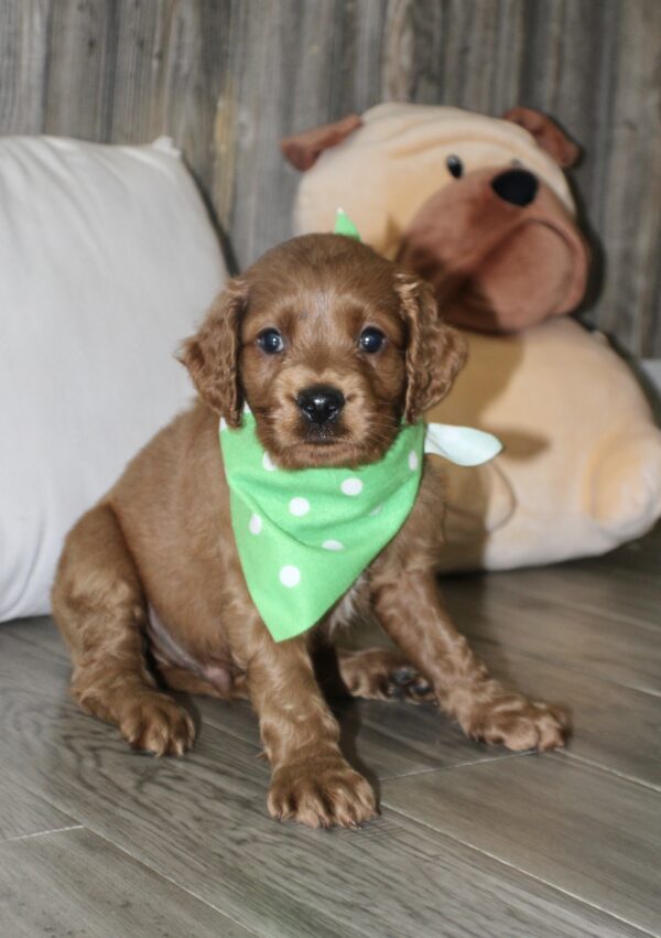 Earl